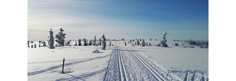 Skiteknikk kurs - Langrenn